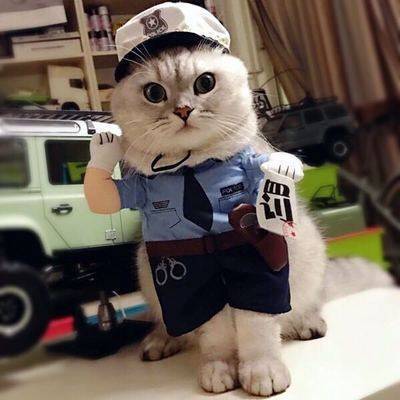 Halloween Pet Costume for Small Dogs with Knife Prop